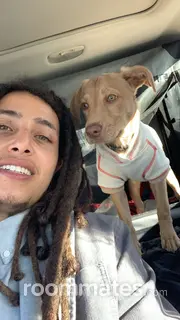 Roommate looking Lowell, MA, $2000