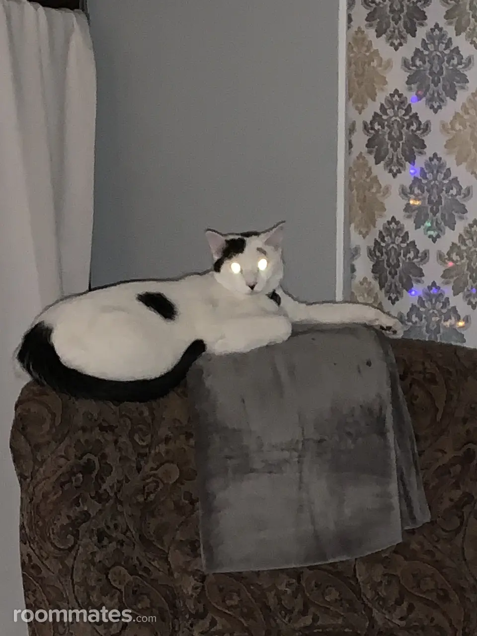 Profile photo 1 of 1