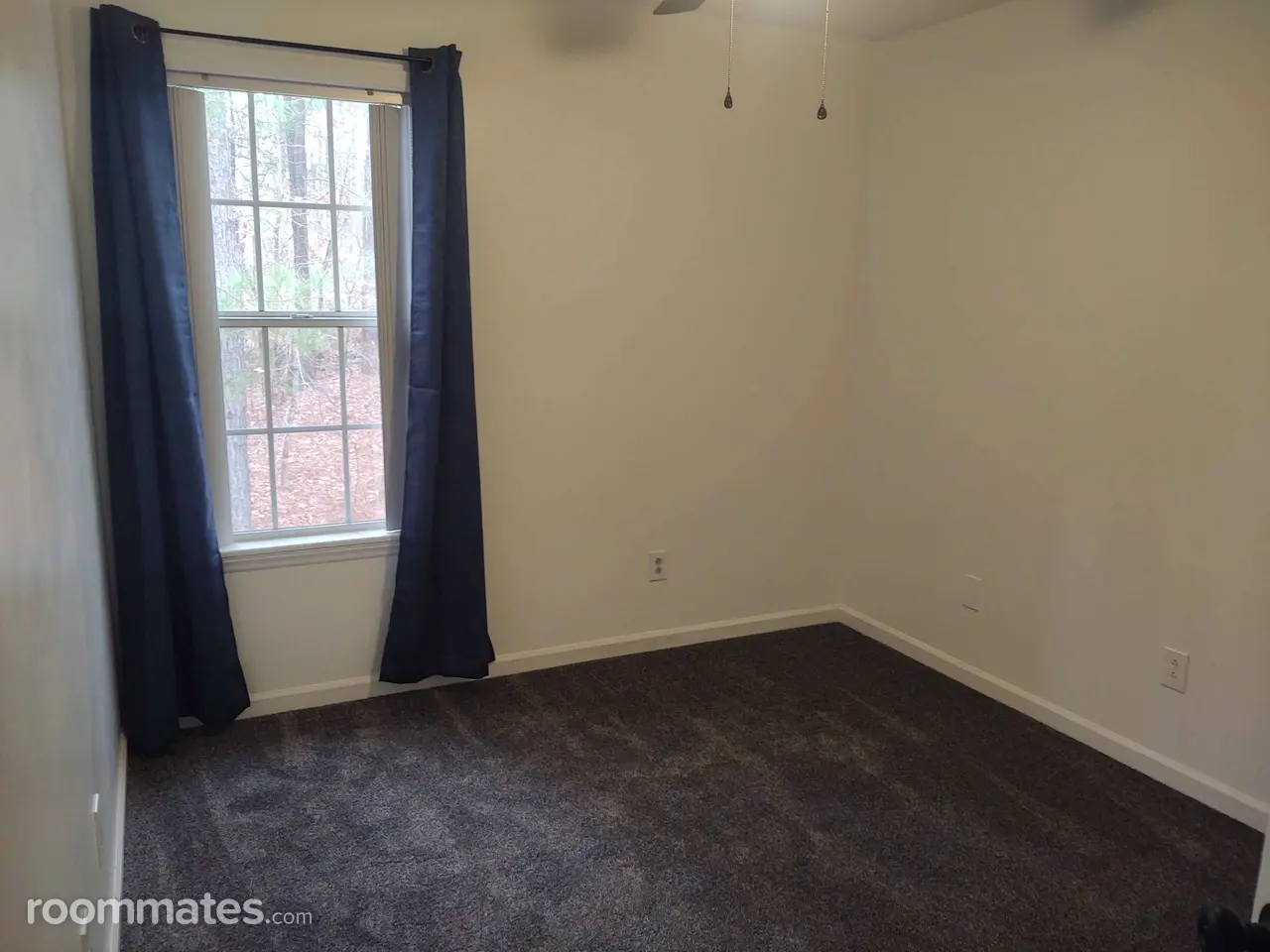 Profile photo 1 of 7