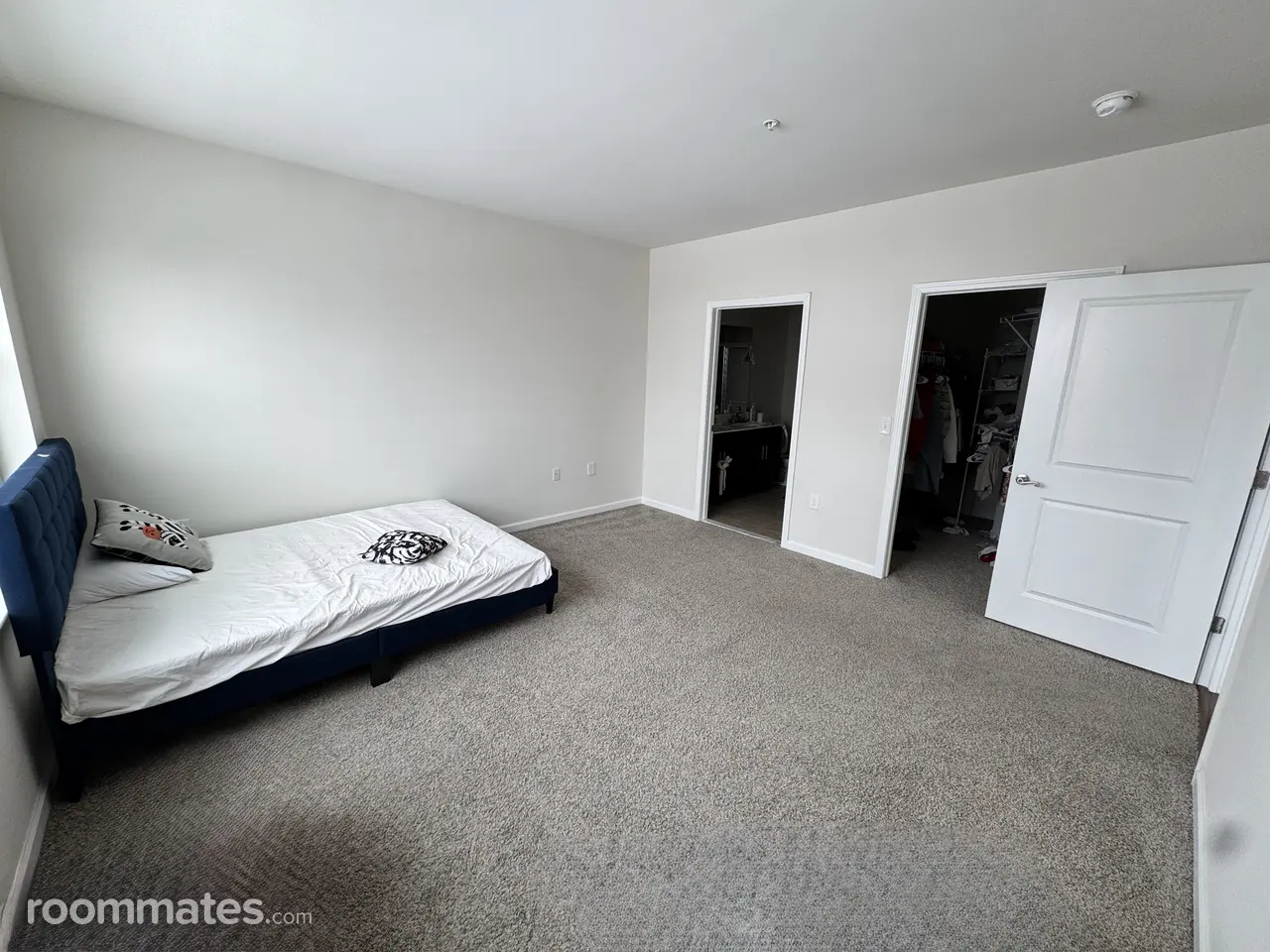 Profile photo 8 of 11