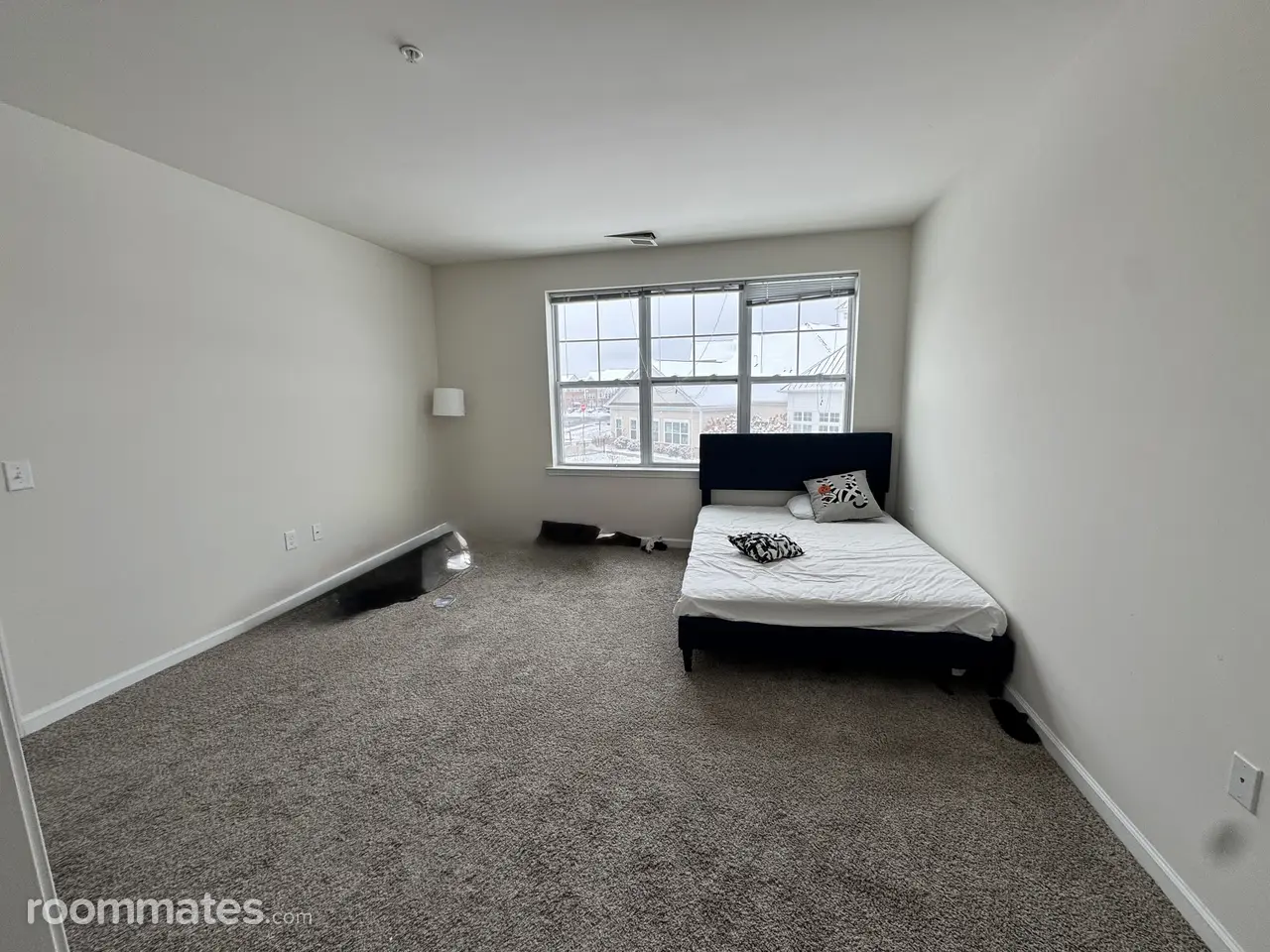 Profile photo 7 of 11