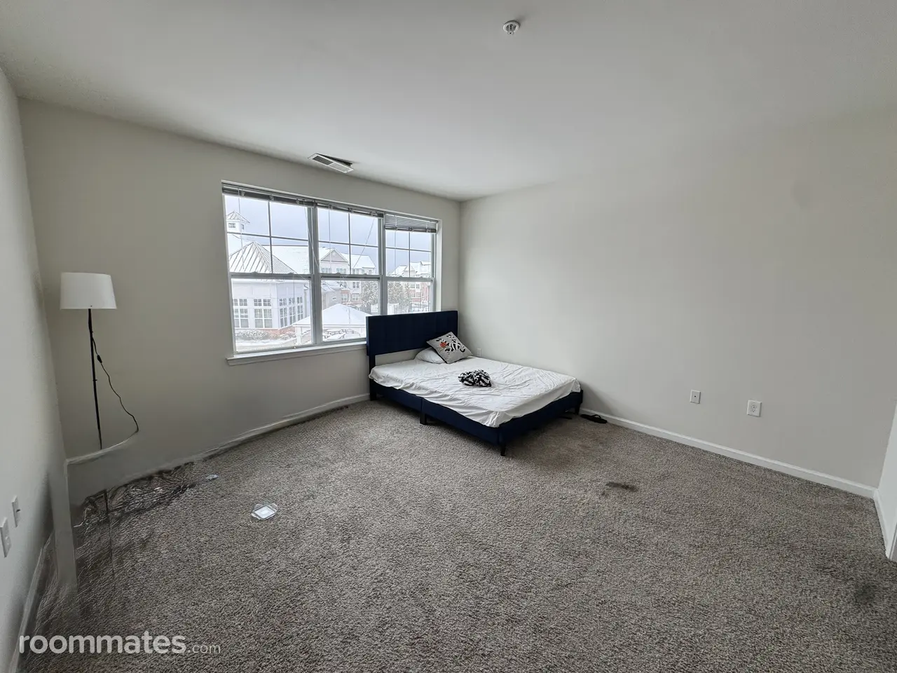 Profile photo 9 of 11