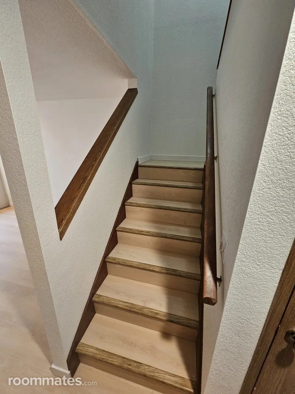 Profile photo 4 of 11