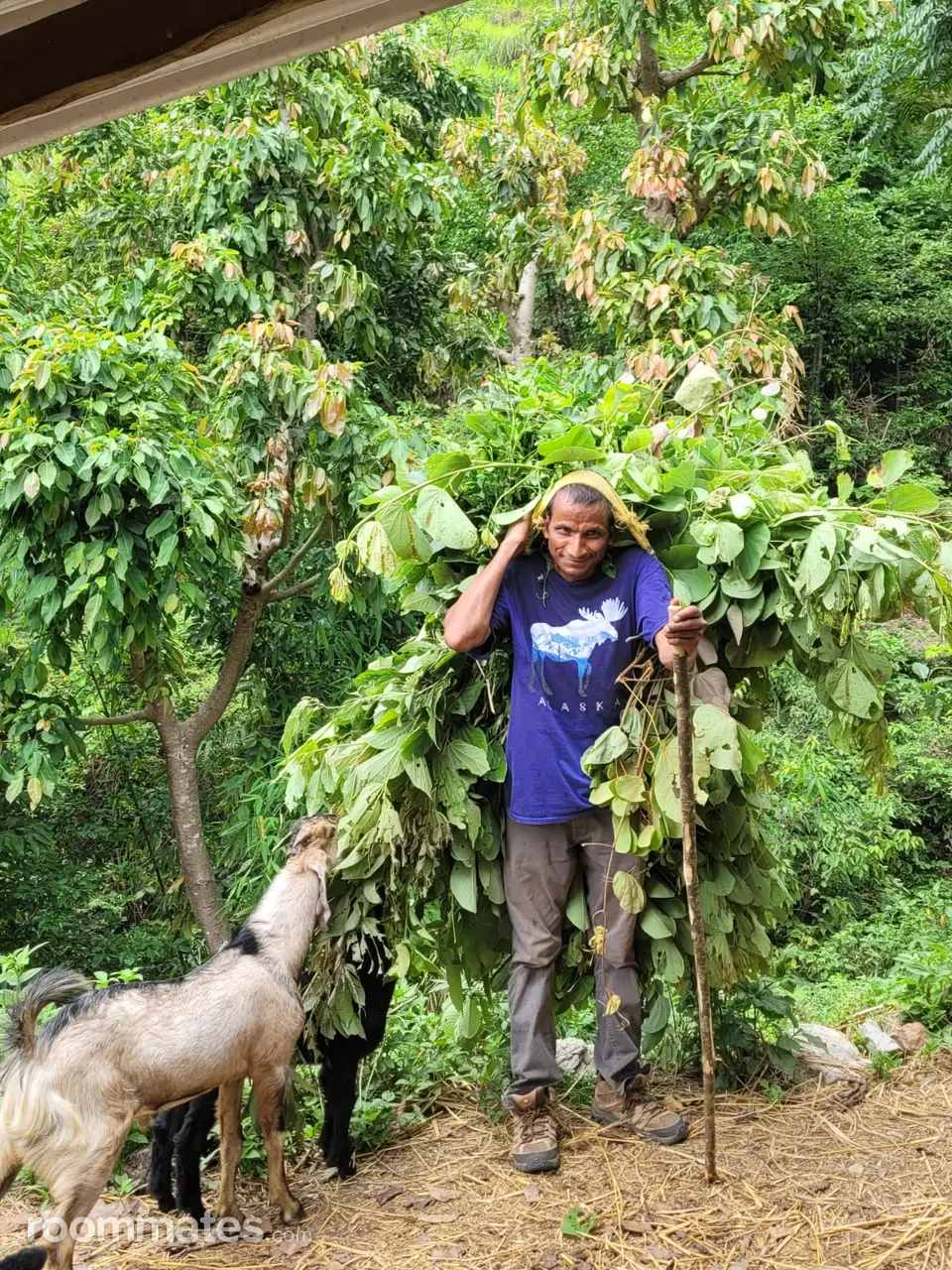 Profile photo 4 of 5