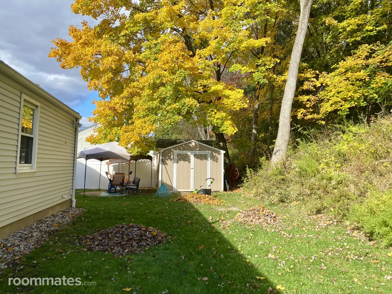 Profile photo 2 of 6