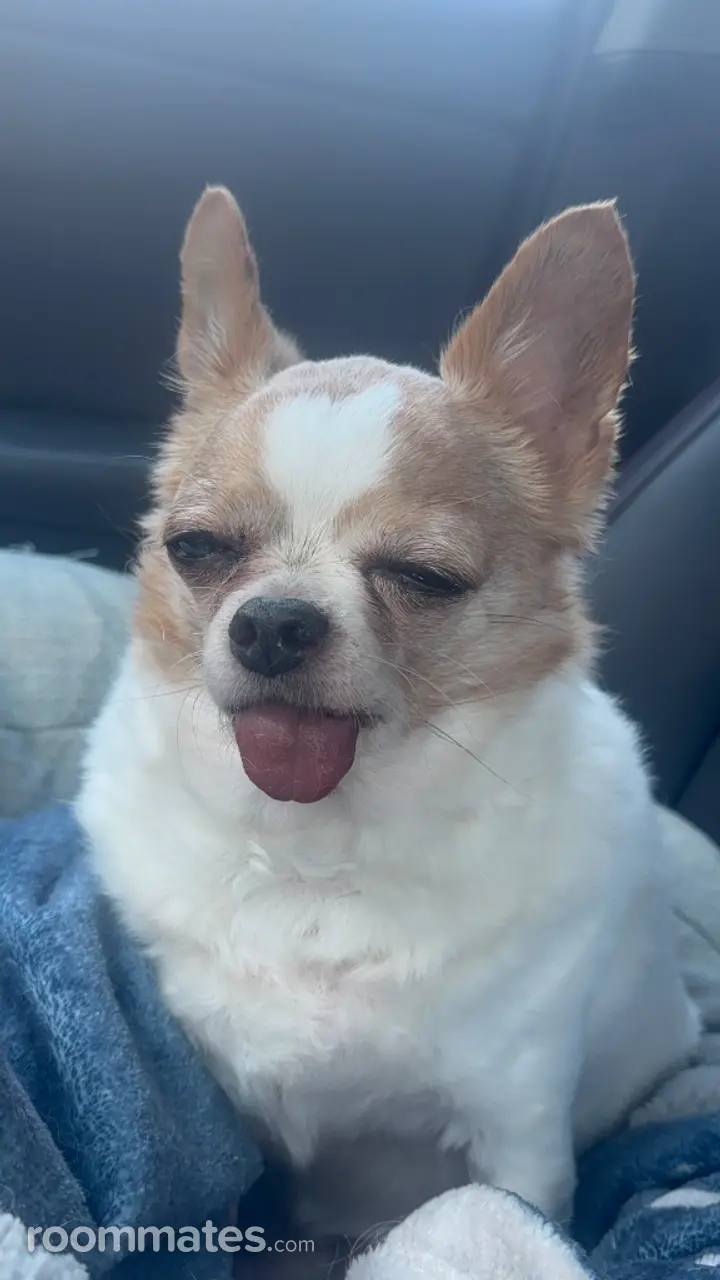 Profile photo 2 of 5