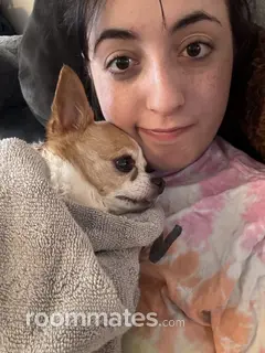 Roommate looking Denton, TX, $800