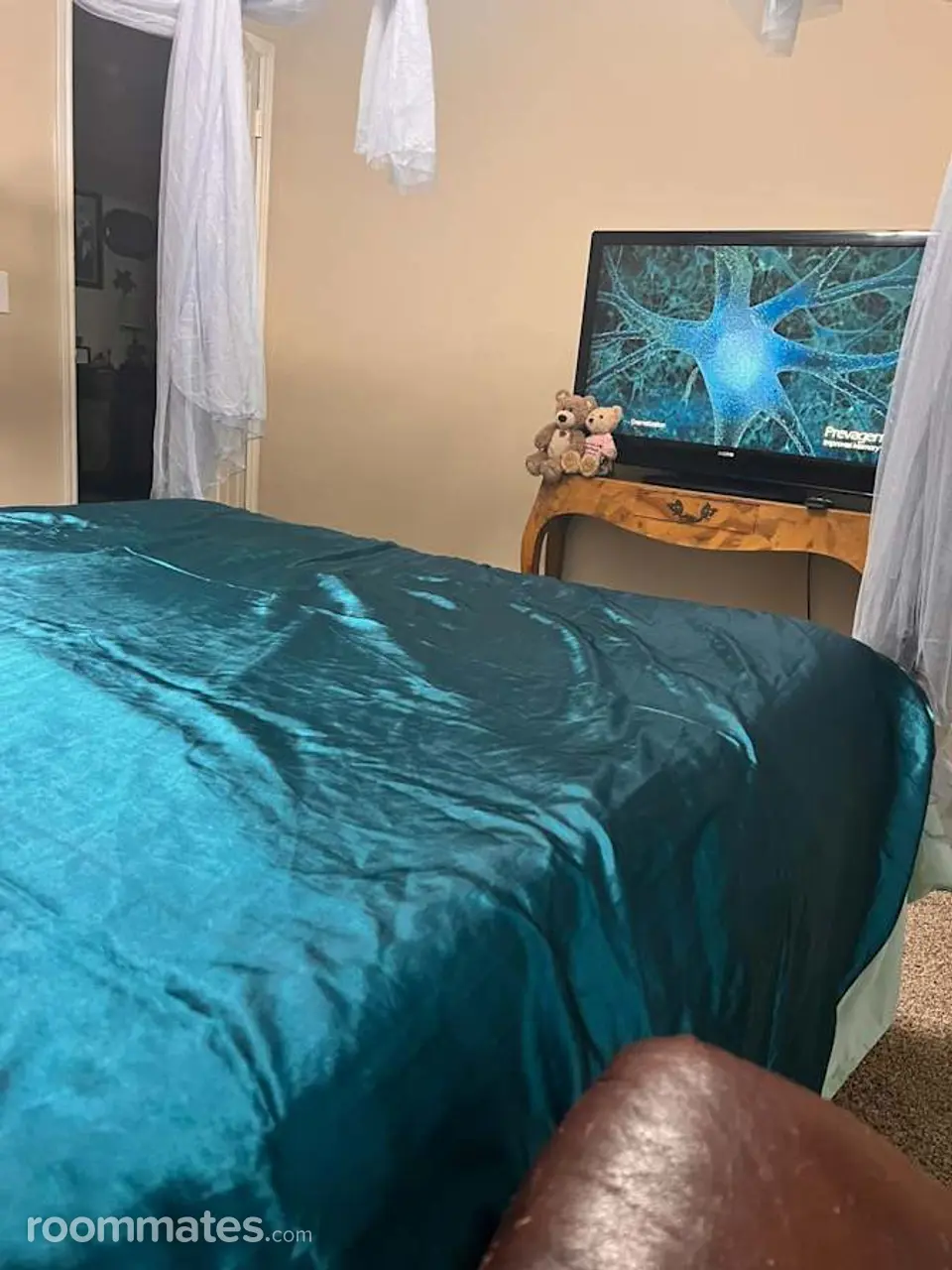 Profile photo 5 of 11