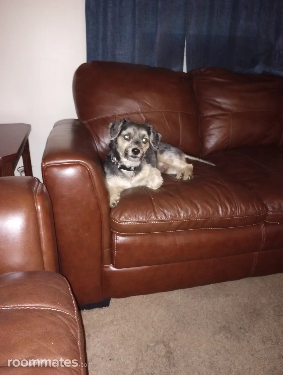 Profile photo 2 of 5