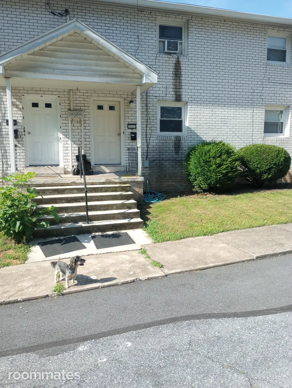 Profile photo 4 of 5