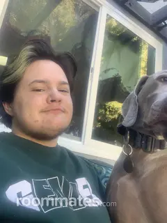 Roommate looking Bakersfield, CA, $700