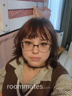 Roommate looking Providence, RI, $900