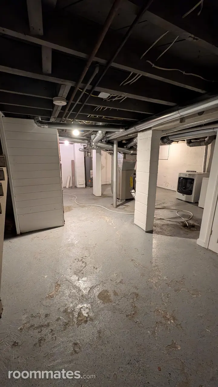 Profile photo 10 of 11