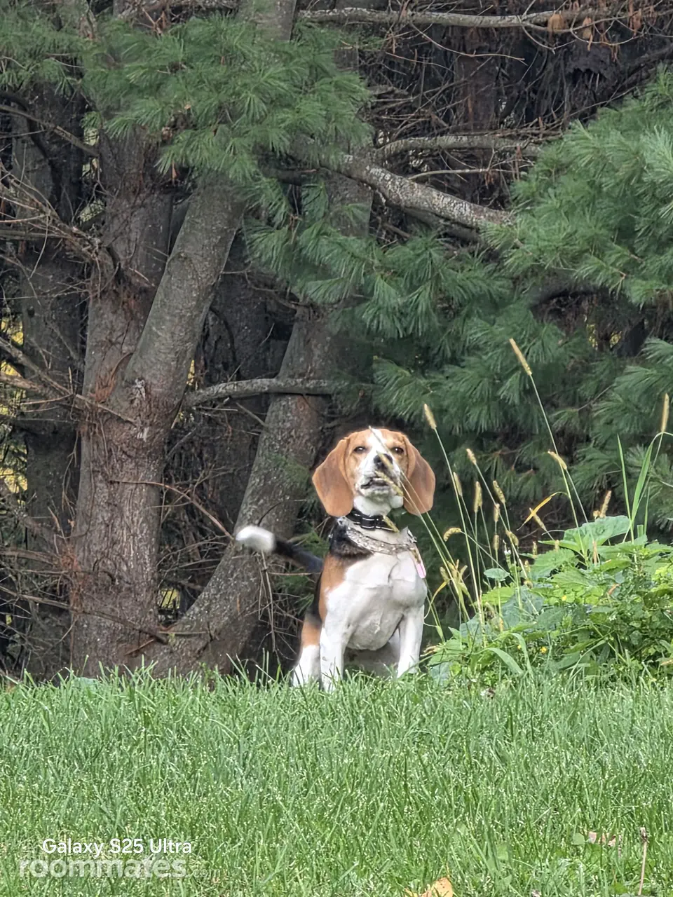 Profile photo 3 of 3