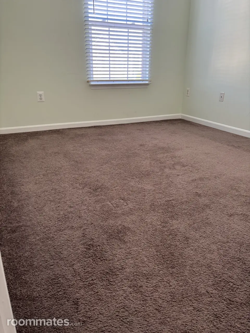 Profile photo 1 of 4