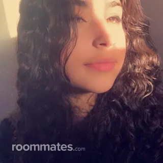 Roommate looking Loveland, CO, $1000