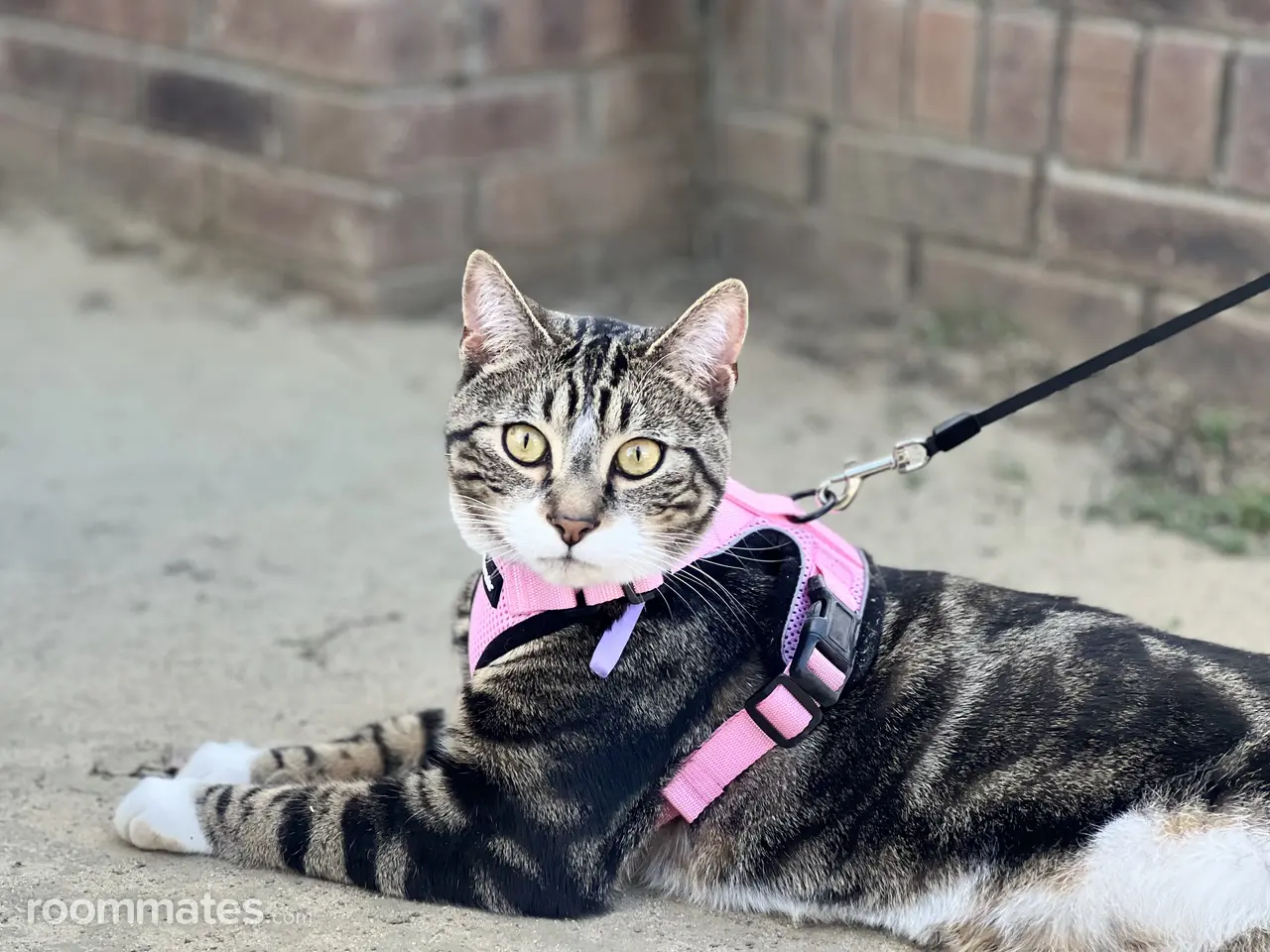 Profile photo 5 of 5