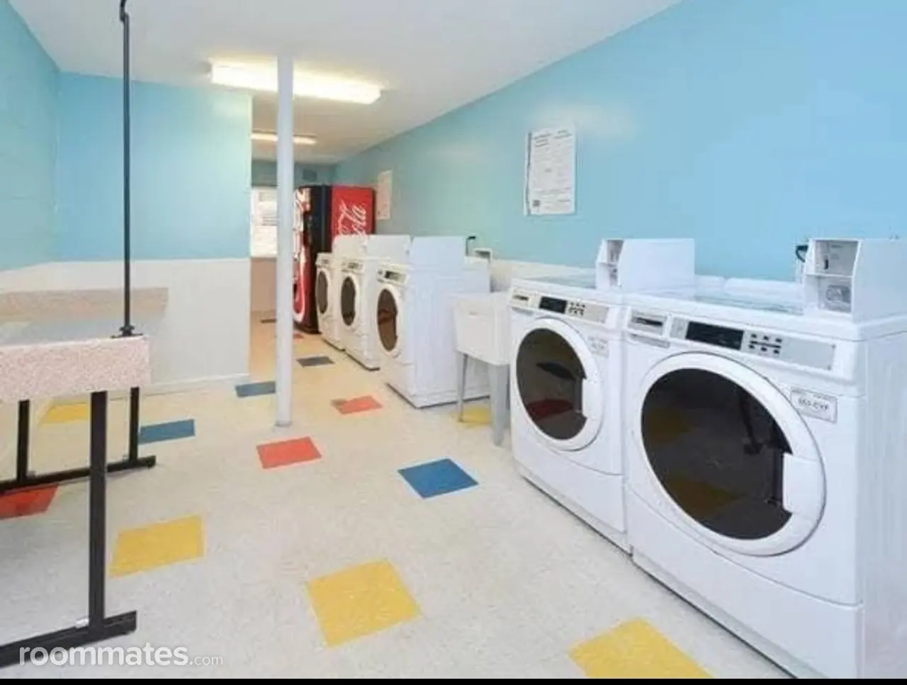 Profile photo 4 of 11