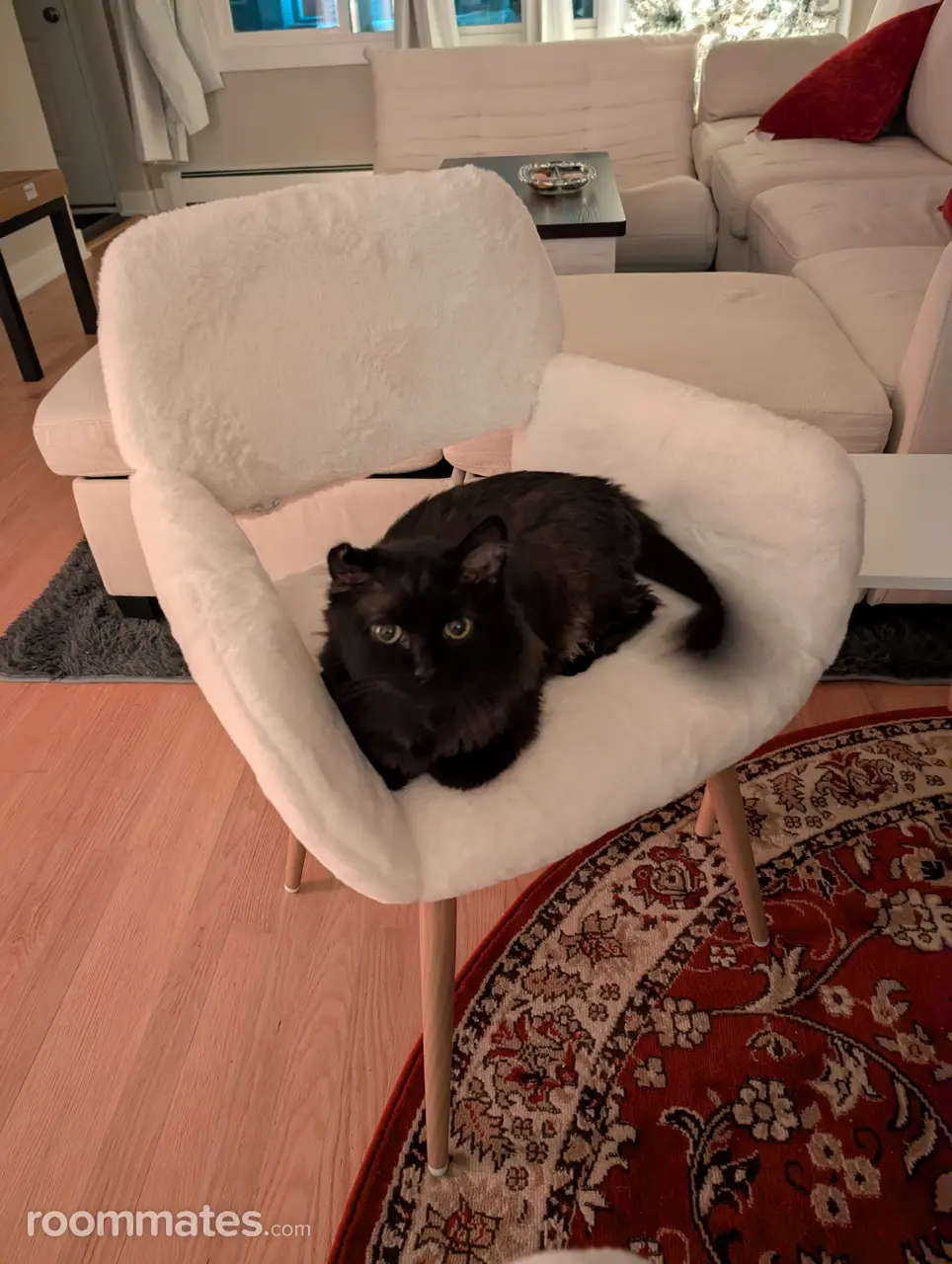 Profile photo 10 of 13