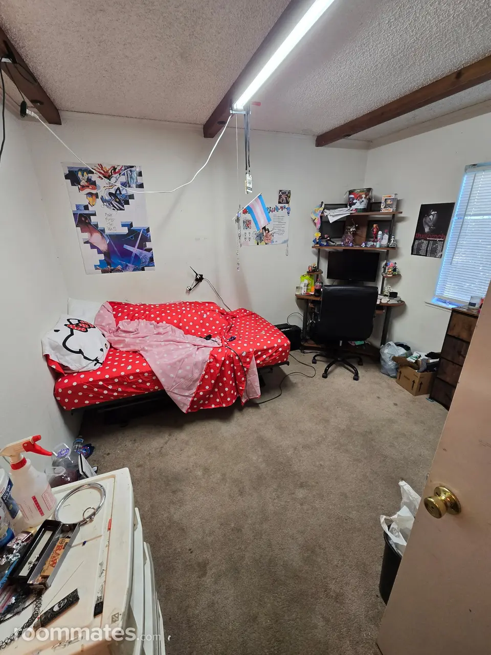 Profile photo 2 of 6