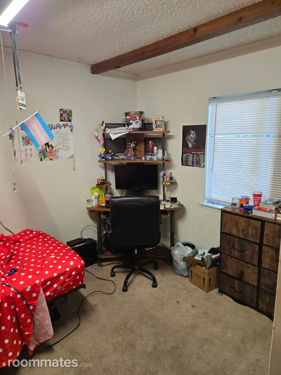 Profile photo 4 of 6