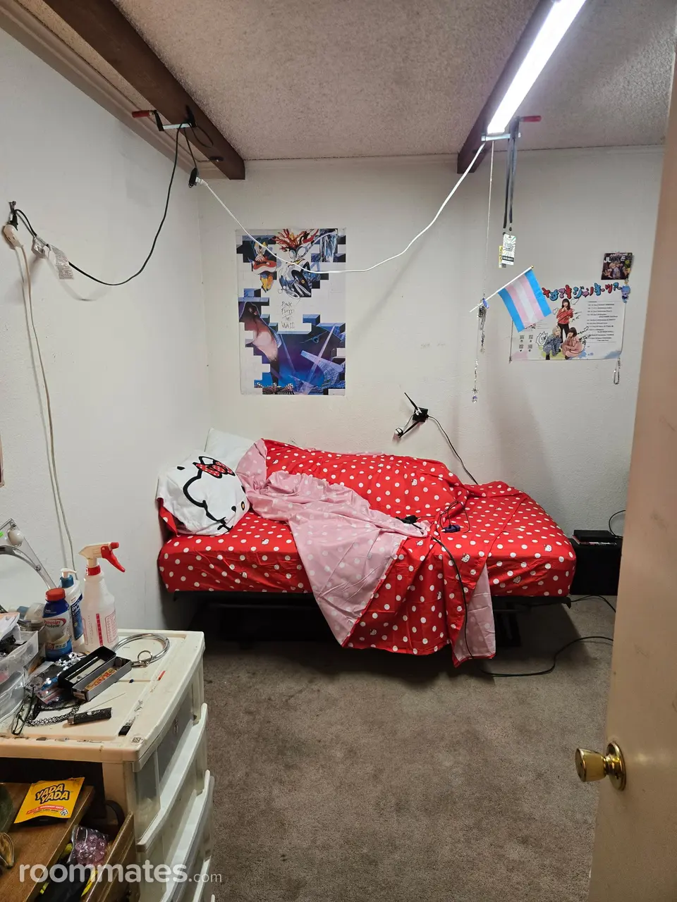 Profile photo 5 of 6