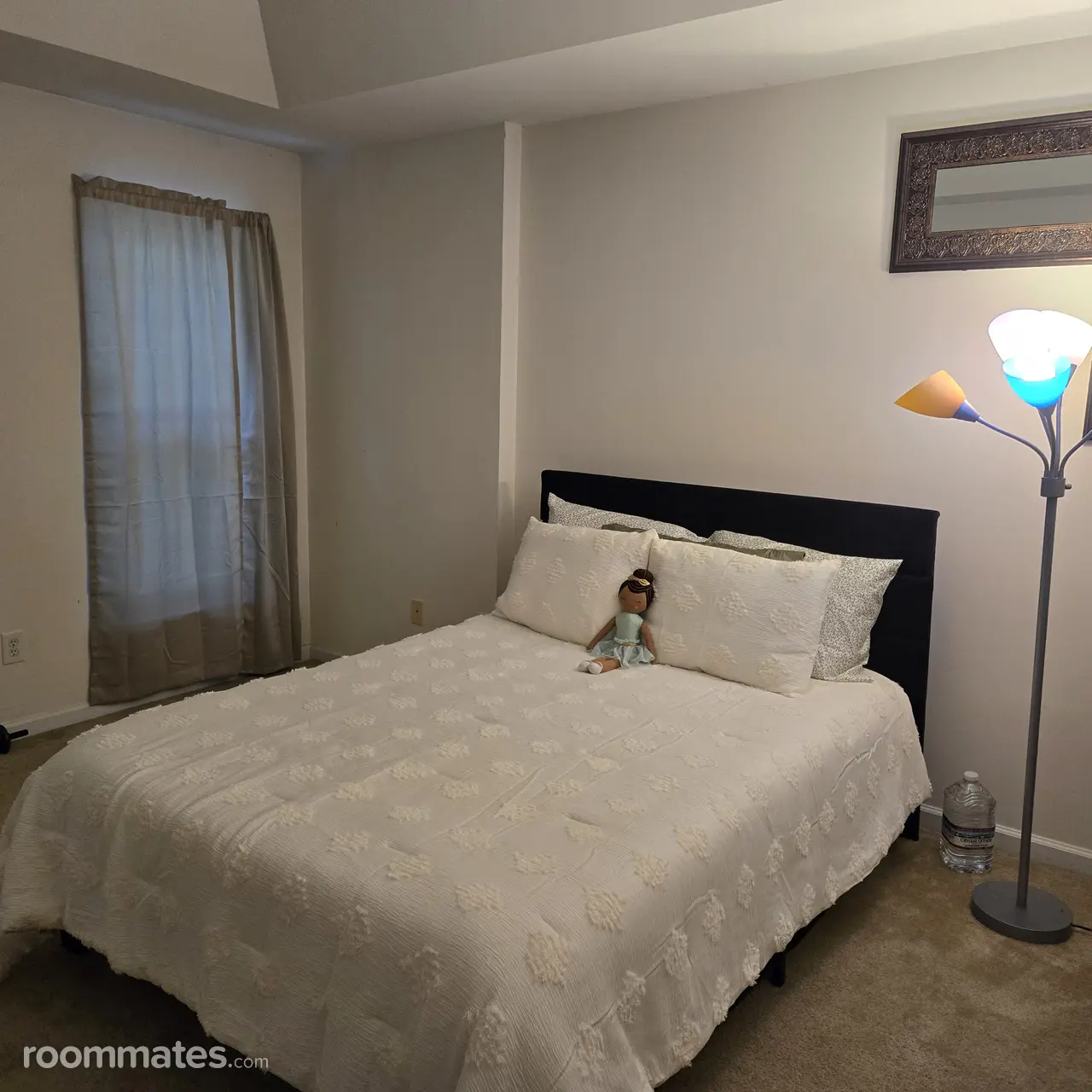 Profile photo 3 of 6