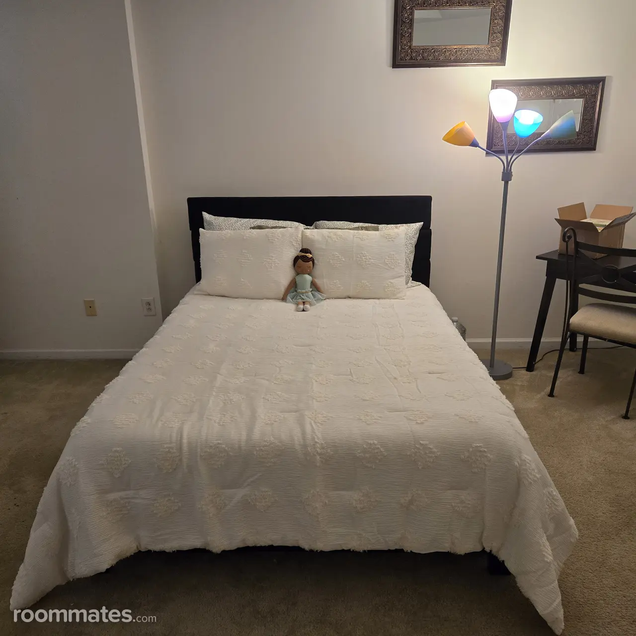 Profile photo 2 of 6