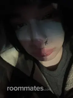 Roommate looking Eugene, OR, $700