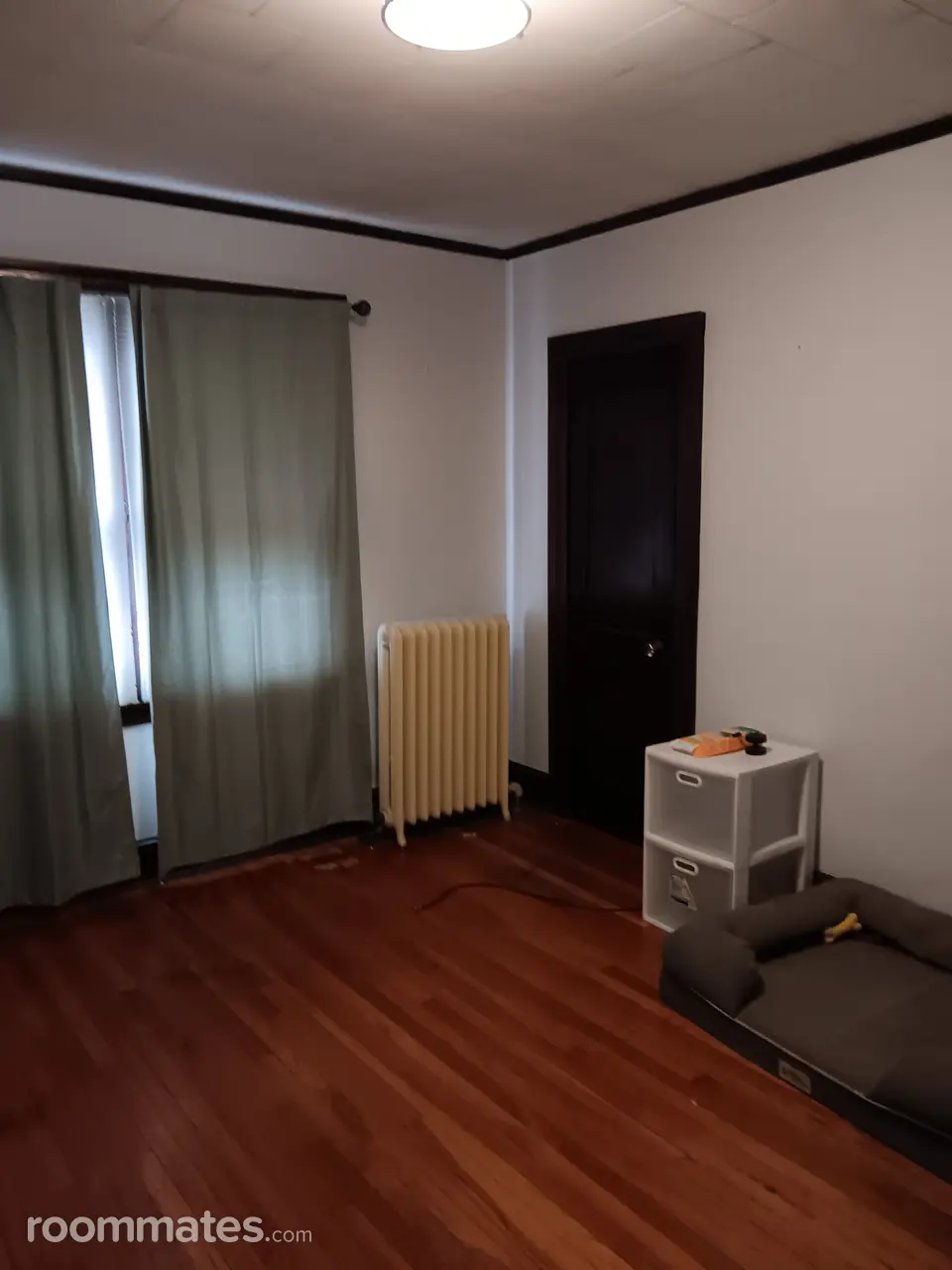 Profile photo 1 of 11