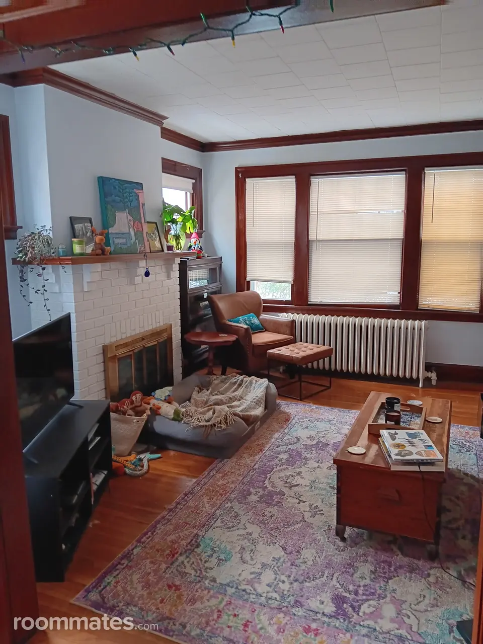 Profile photo 10 of 11