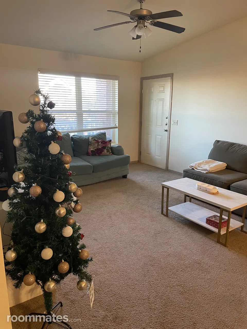 Profile photo 6 of 13