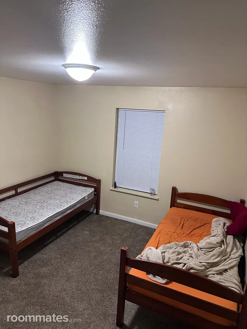 Profile photo 2 of 3