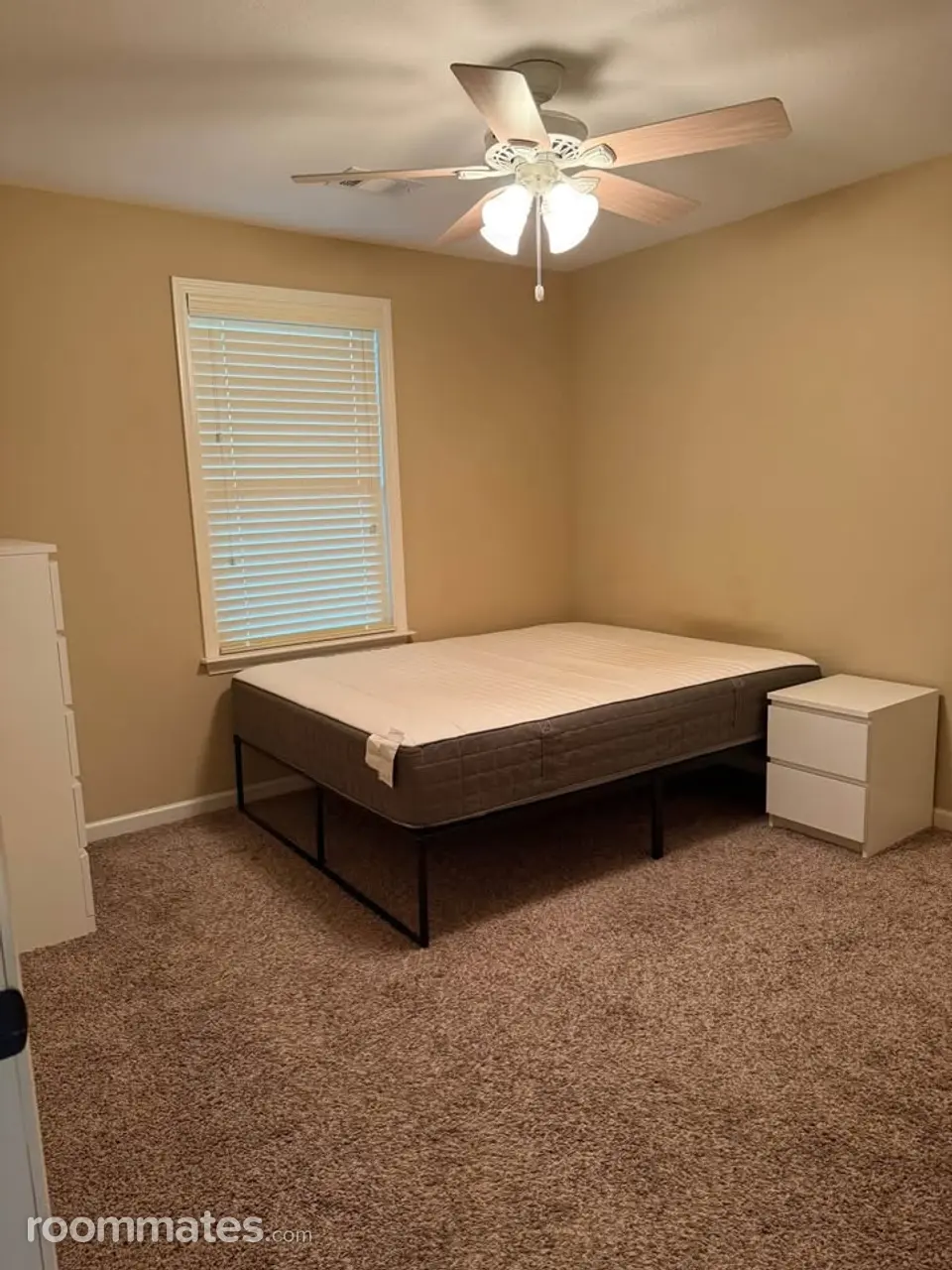 Profile photo 5 of 10