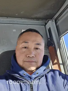 Roommate looking Ypsilanti, MI, $600