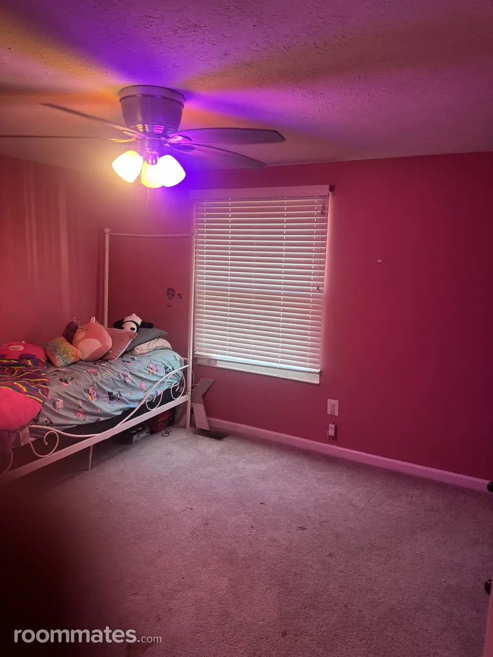 Profile photo 9 of 10