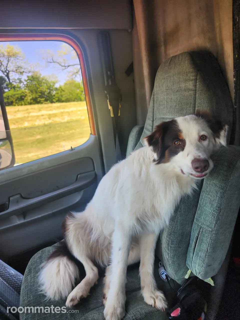 Profile photo 13 of 17