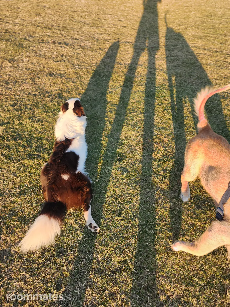 Profile photo 16 of 17