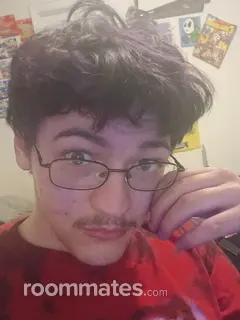 Roommate looking Chattanooga, TN, $2000