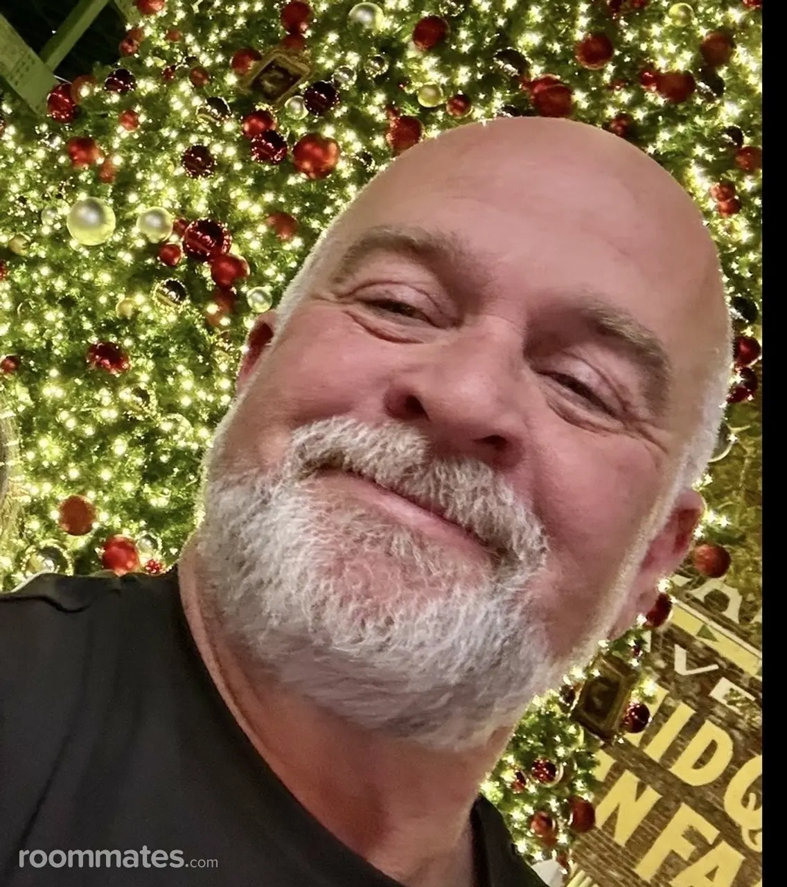 Profile photo 1 of 1