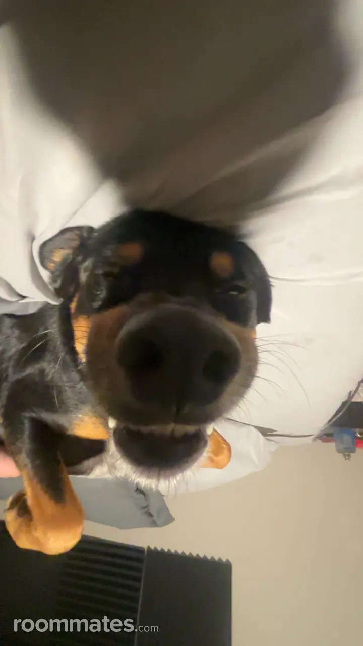 Profile photo 2 of 2