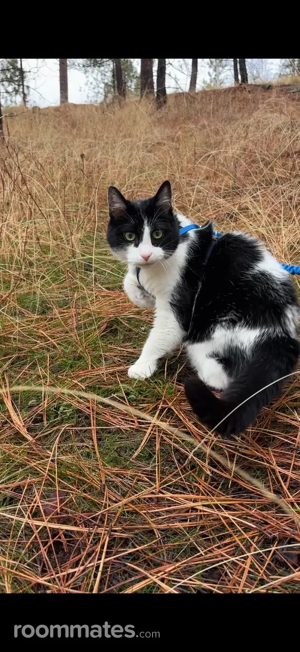 Profile photo 7 of 8