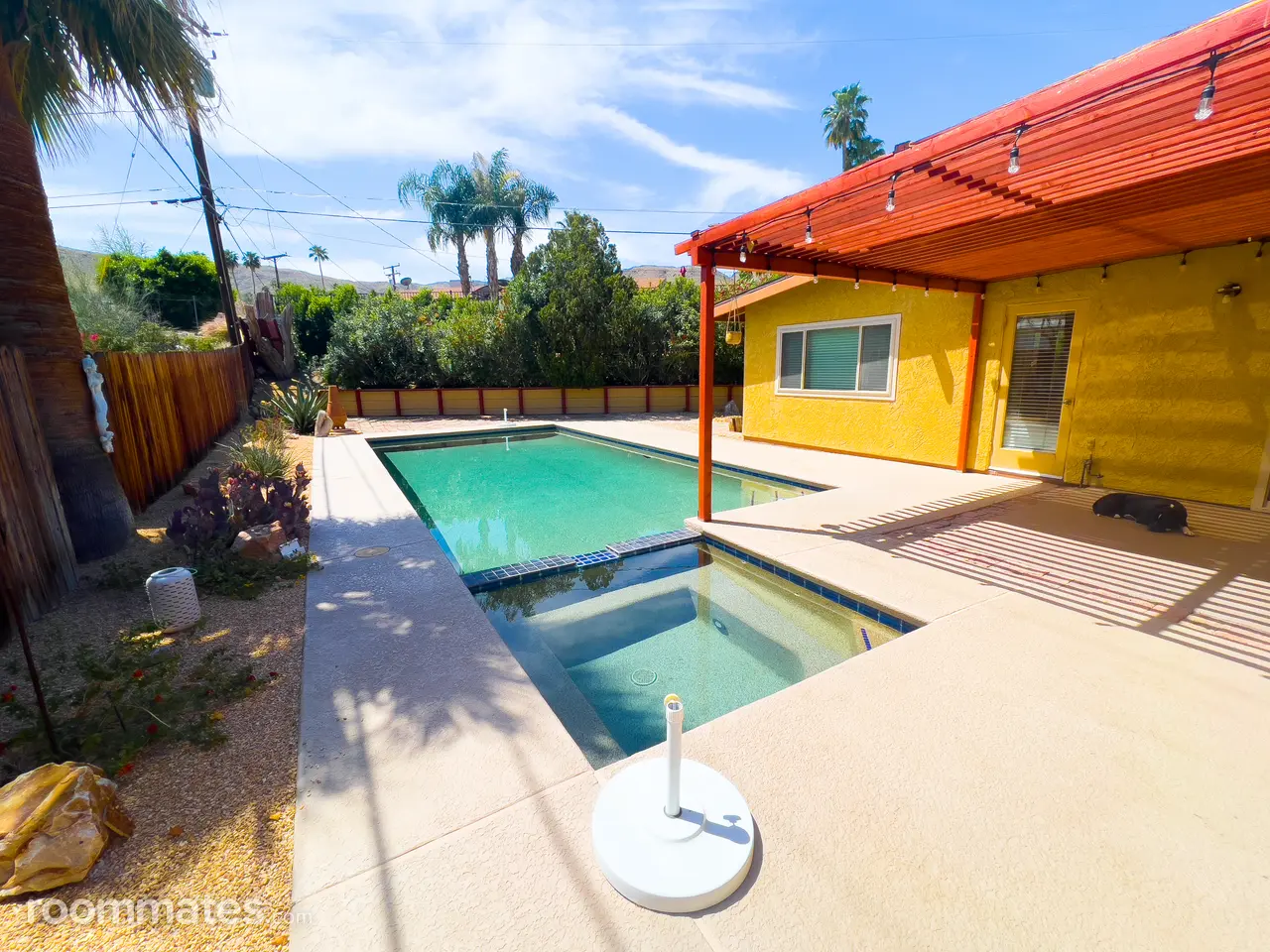 Profile photo 7 of 10