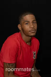 Roommate looking St. Louis, MO, $800