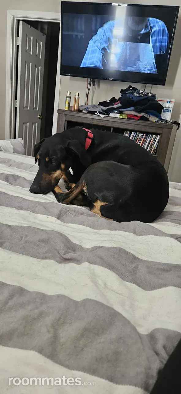 Profile photo 4 of 6