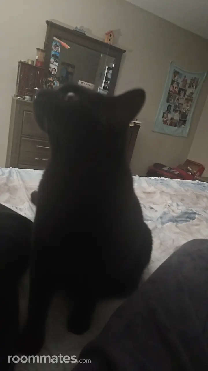 Profile photo 2 of 6