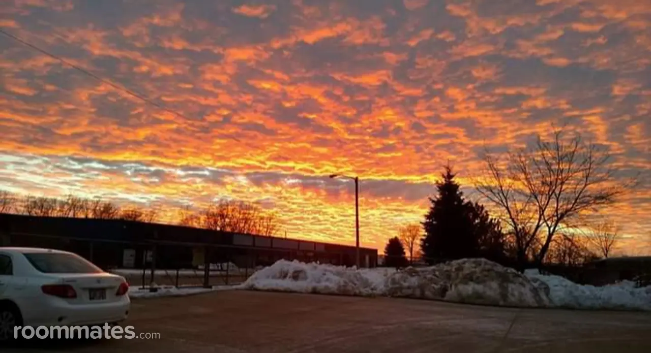 Profile photo 2 of 9