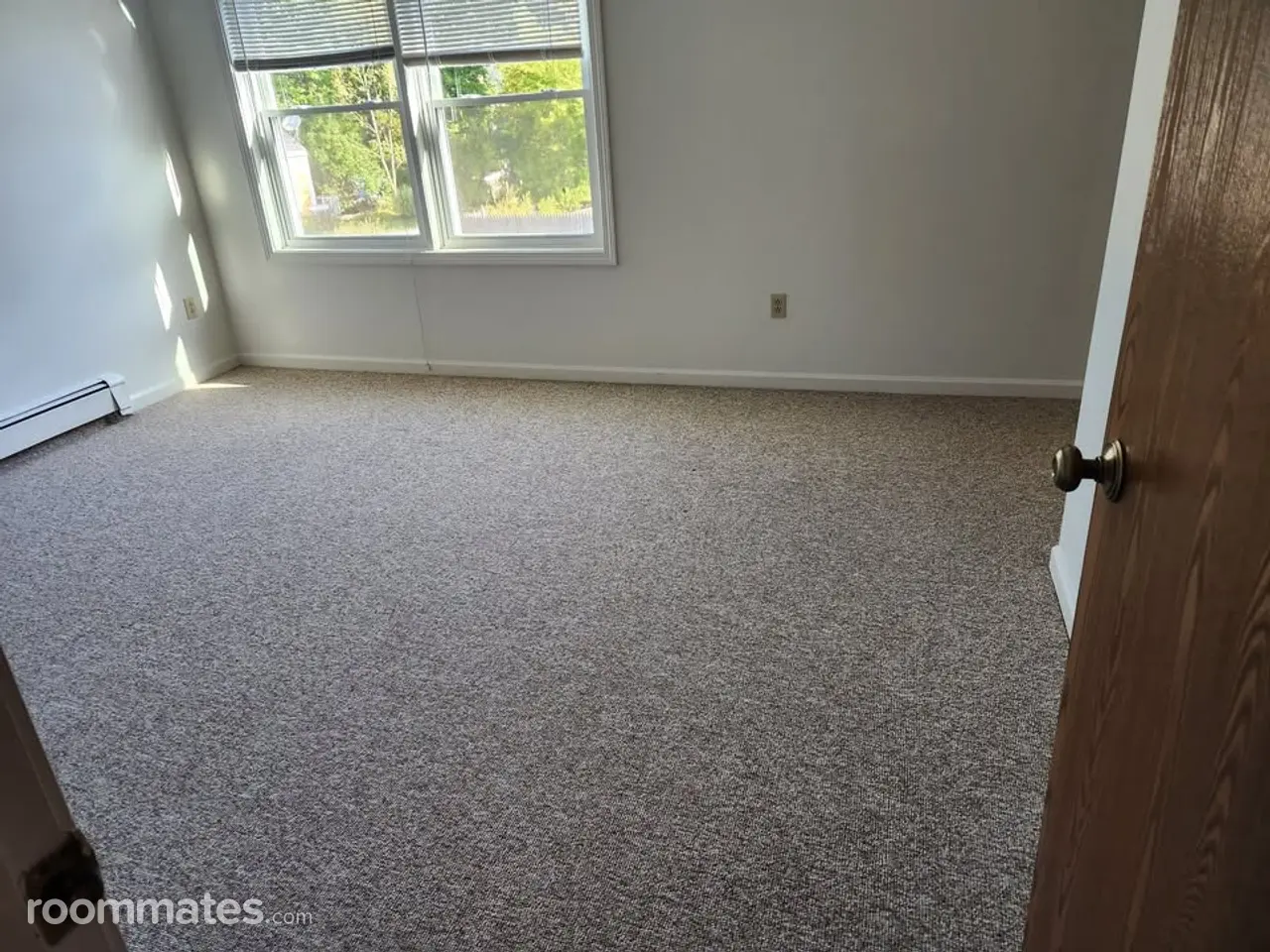 Profile photo 5 of 6