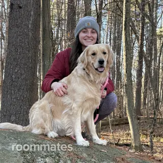 Room for rent in Worcester MA $1895, apartment