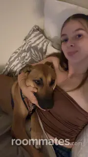 Roommate looking Findlay OH, $1000